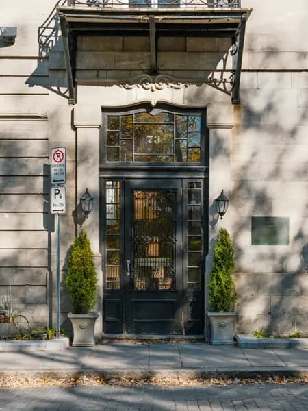 VIDIO Rozmazání odznaků a ID - Příklad #4