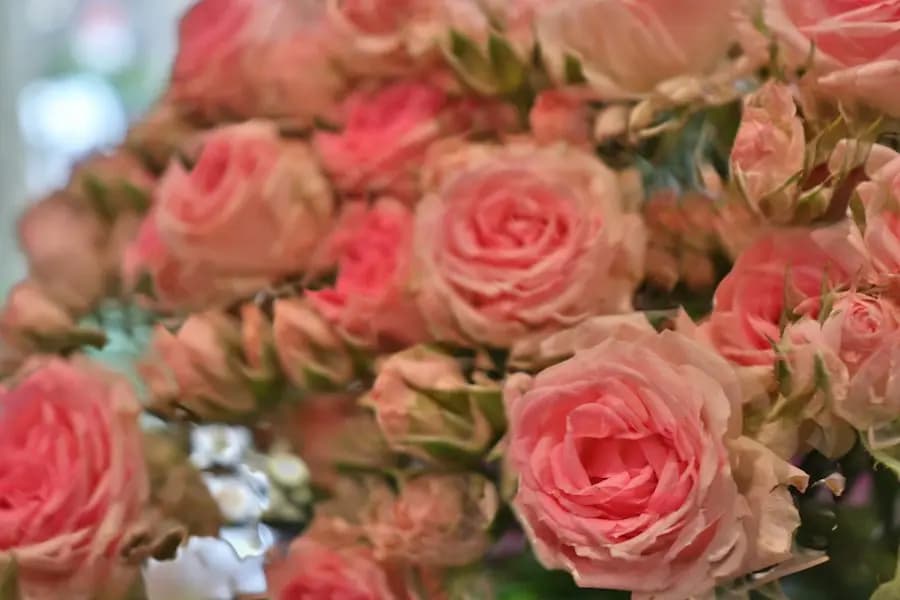 VIDIO's Video Stabilizer - Příklad 5