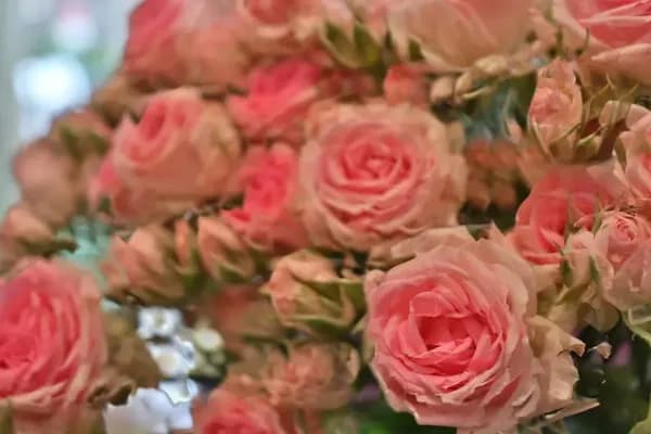 VIDIO's Video Stabilizer - Ukázka 5