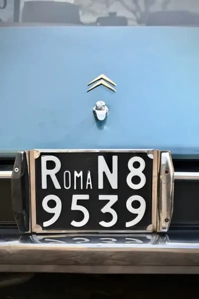 VIDIO طمس لوحات المركبات بالذكاء الاصطناعي - مثال 3